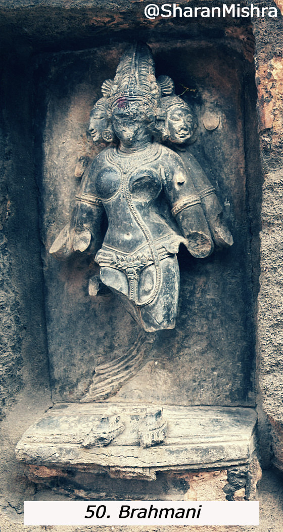 50. Brahmani