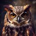 🦉Francisco Barros H. 🇪🇨💙✞ Profile picture