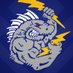 The Templin Institute Profile picture