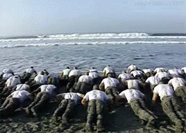 Navy Seal GIF